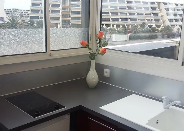 Port Nature 3 Appartement Agde