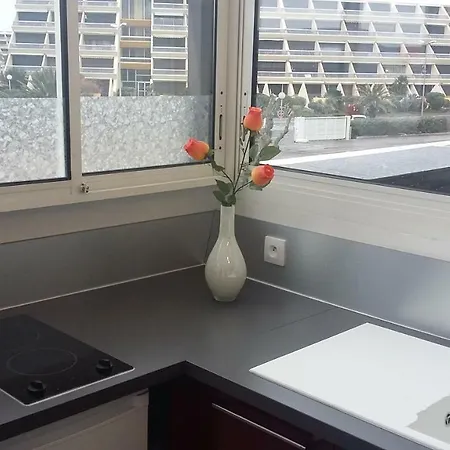 Port Nature 3 Apartment Agde